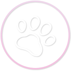 Paw Print Icon